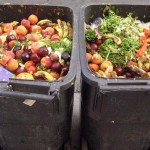 FoodWastePic