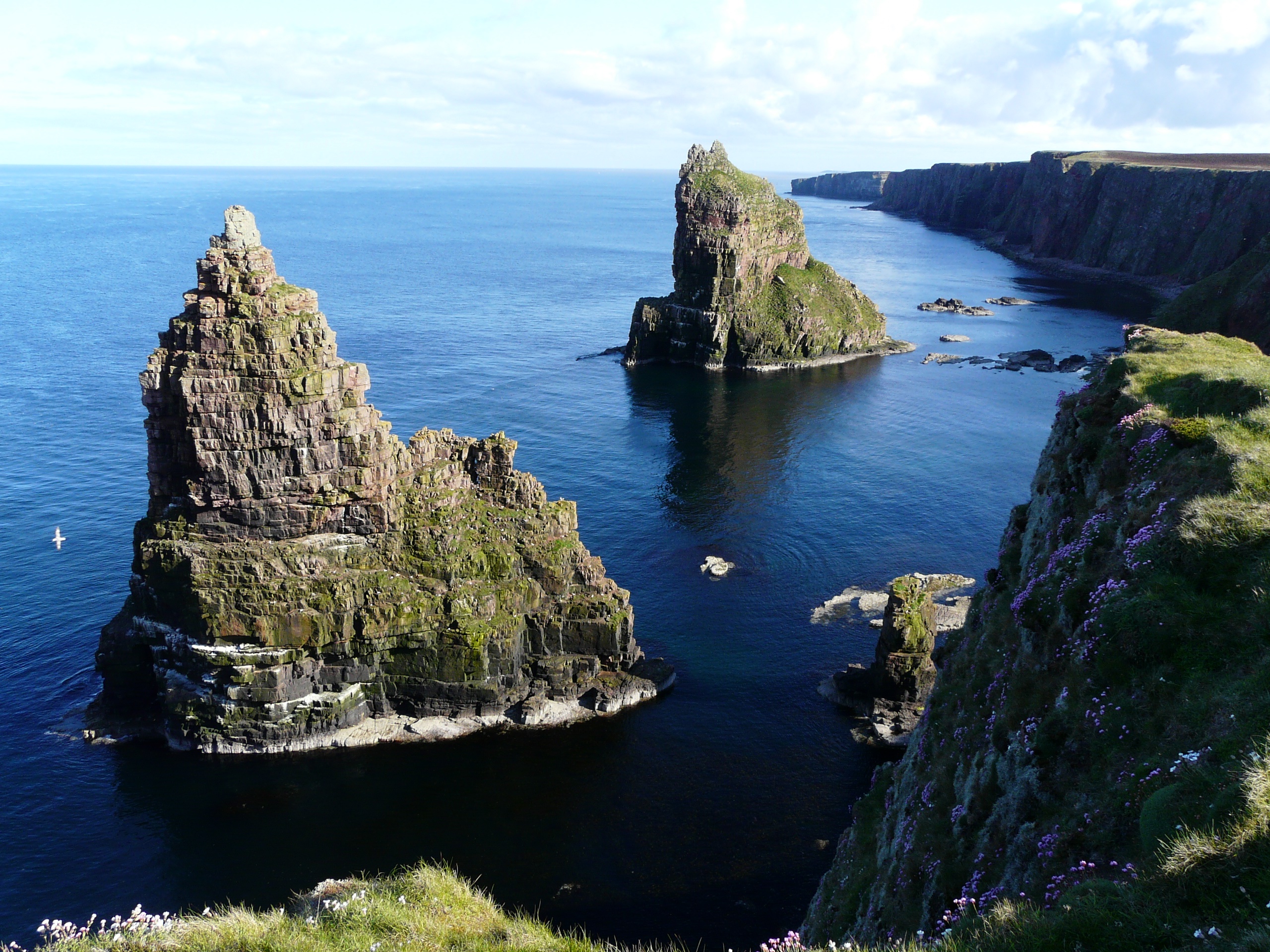 Duncansby Stacks, Caithness. Image, Alan Hendry.