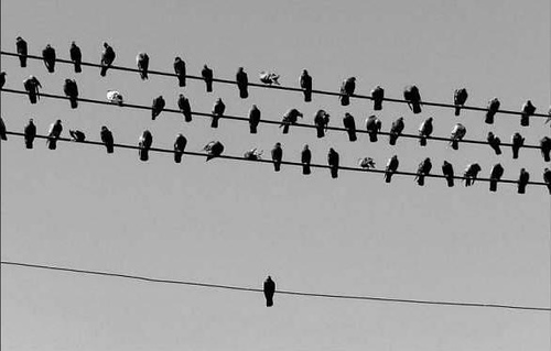 loneliness