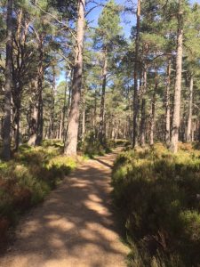 There were paths through the Cairngorms National Park that were crying out to be explored.